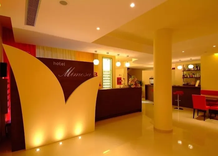 Hotel Mimosa San Mauro Mare