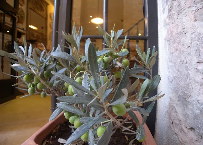 Bed&Breakfast A casa delle Fate