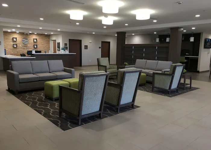 Comfort Inn & Suites Snyder