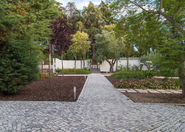 Aires Da Serra Hotel Torres Novas