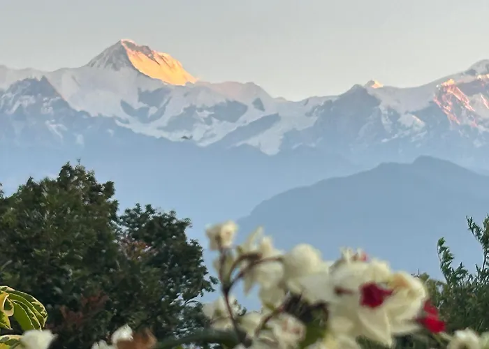 Hotel Pristine Himalaya