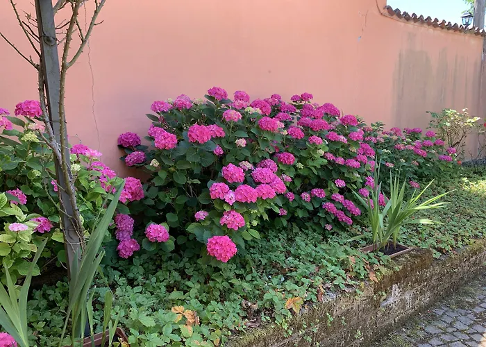 La Casa Celeste B&B