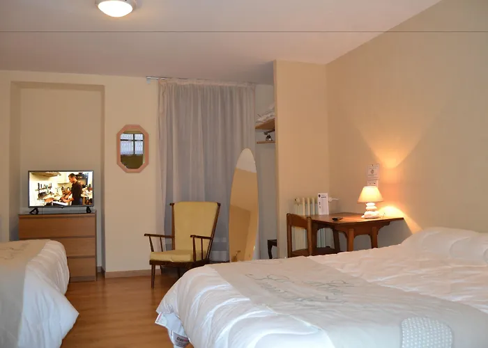 Hotel du Lion Vert Luxeuil-les-Bains
