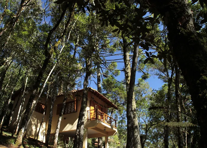 Pousada Chalé da Floresta