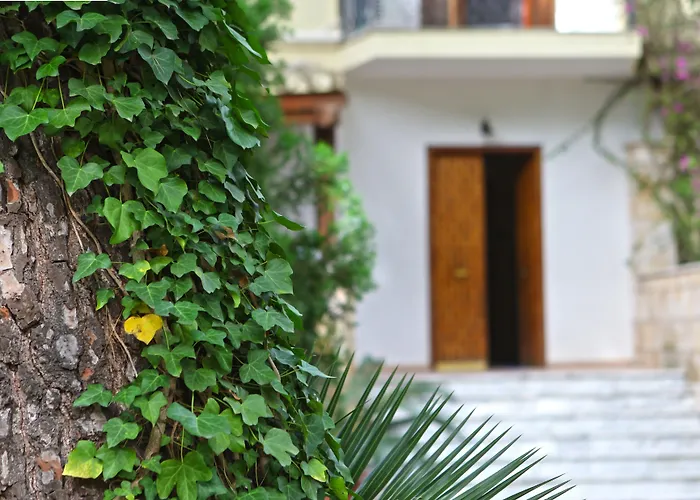 B&B Viale dei Pini