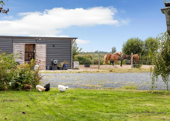 Bnb Purmerland Purmerend