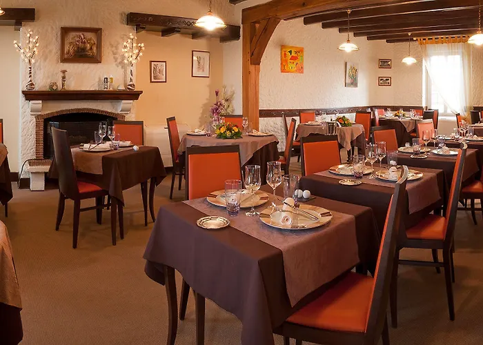 Logis Hôtels Restaurant Le Dauphin Salbris