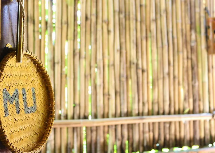 Under The Coconut Tree Hoi An