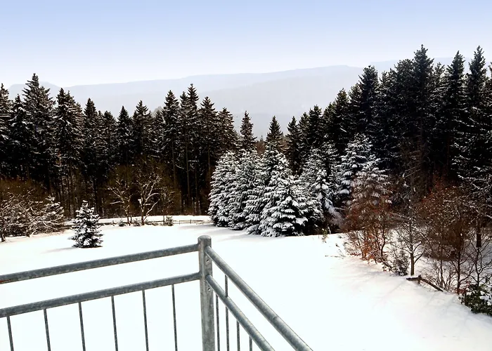 Appart-Hotel Harmonie Winterberg