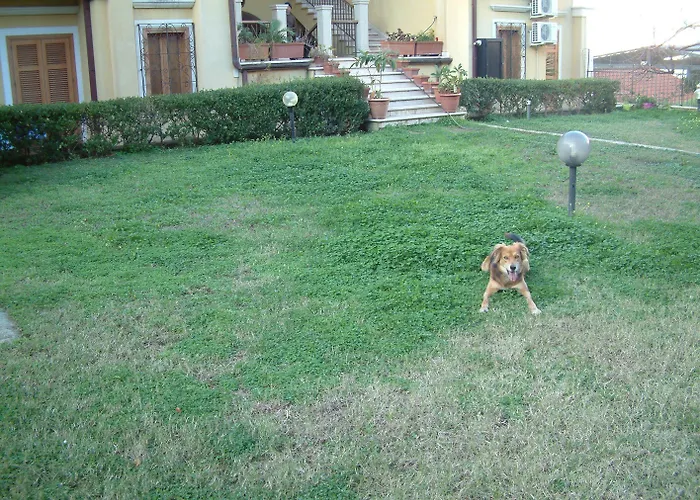 Hotel La dimora del borgo Belvedere Marittimo