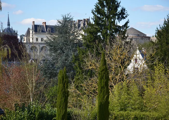 Hotel Manoir Du Parc (Adults Only) à Amboise