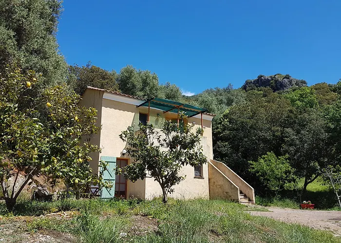 A Casa Di L'Alivu
