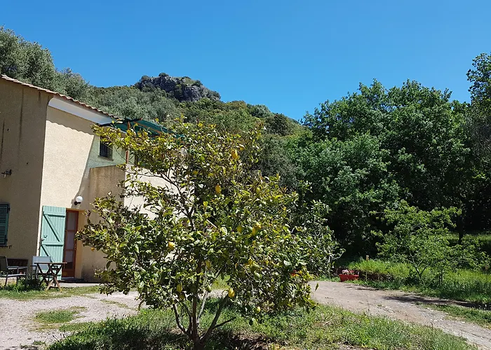 A Casa Di L'Alivu