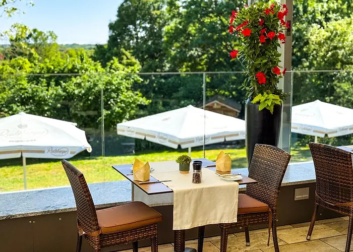 Hotel Birkenhof Hanau
