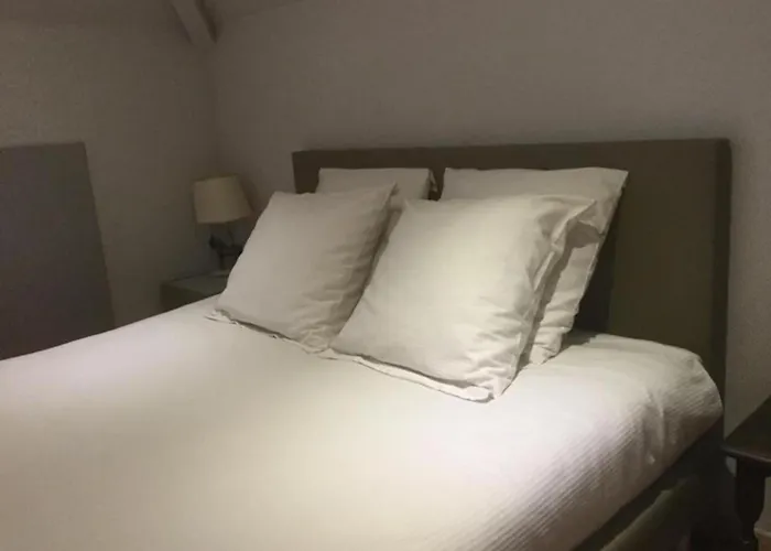 B&B Bloemenweelde Kortrijk