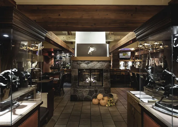 The Falls Hotel & Inn Niagarawatervallen