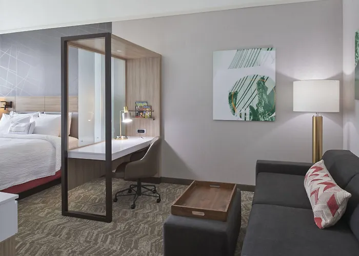 Springhill Suites By Marriott East Lansing University Area, Lansing Area