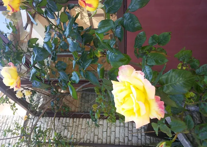 B&B Villa Acero Marina Di Carrara