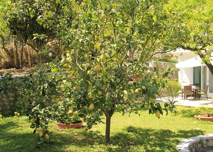 Casa Augusto B&B Capri