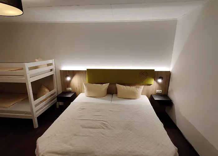 Hotel Goldene Traube Günzburg