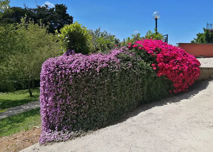 Vigna dell'Agrifoglio - Bed&Breakfast
