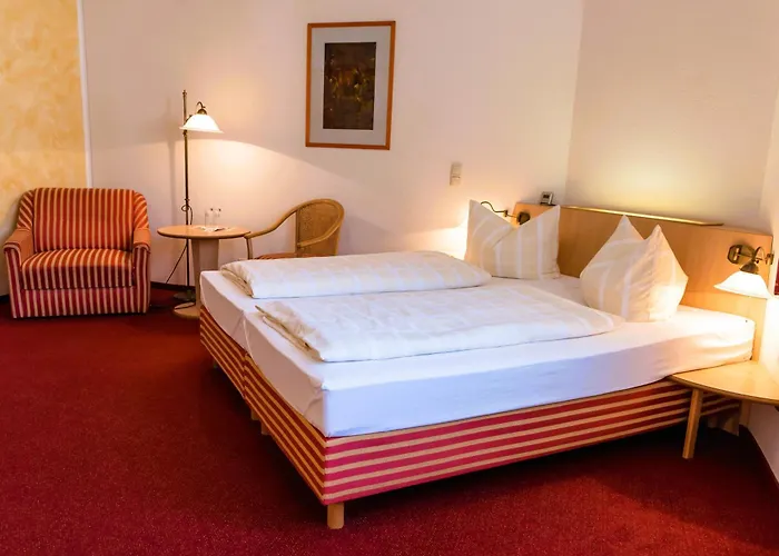 Hotel Weidenmühle Mühlhausen