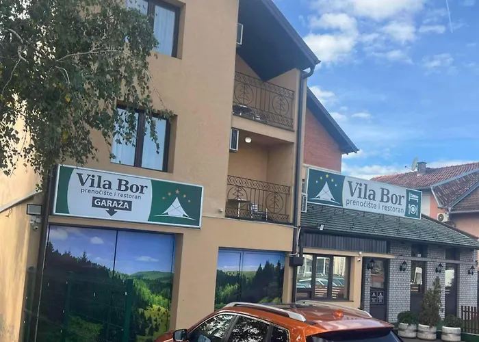 Guest House Vila Bor