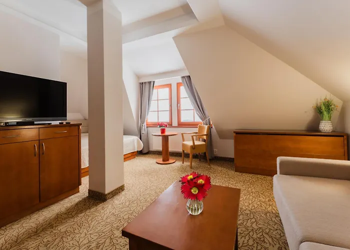Hotel Vitkova Hora Karlsbad