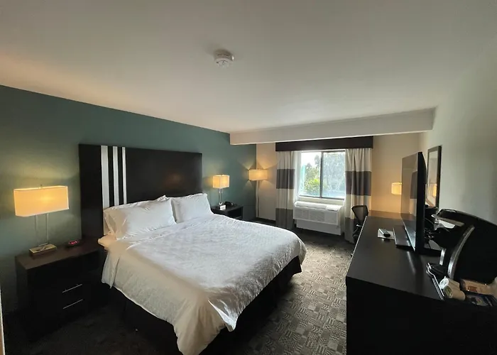 Holiday Inn Express Hotel & Suites Carlsbad Beach By Ihg
