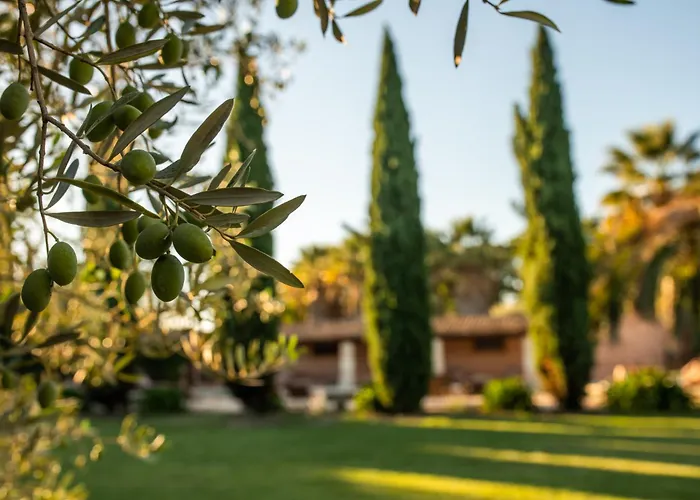 HOTEL DOMAINE DES CLOS - Les Collectionneurs Beaucaire 