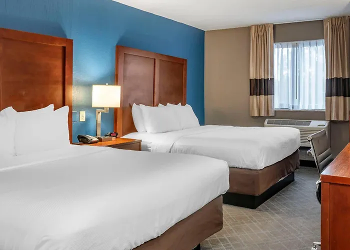 Comfort Inn University Amherst