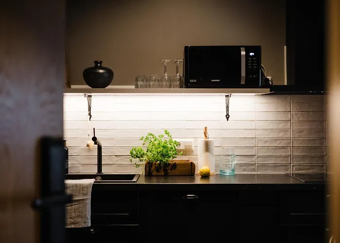 Rey Apartments Reykjavik