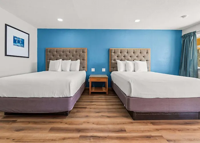 Econo Lodge Inn & Suites Sealy