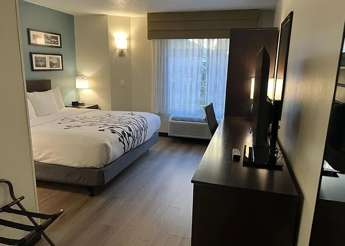Staunton Hotels