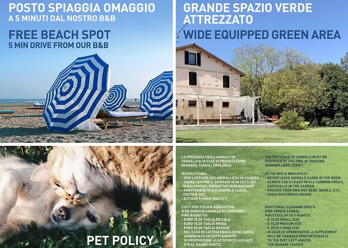 Armonia della Sera B&B - Residenza di campagna Porto SantʼElpidio