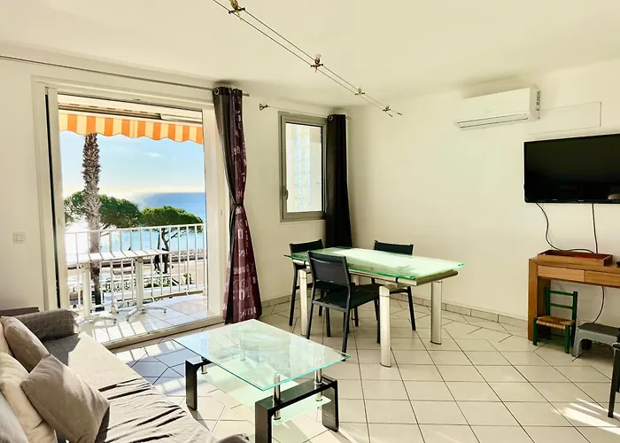 T3 sur la plage vue féerique mer,wifi, parking inclus , clim