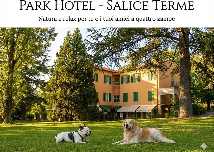 Park Hotel Salice Terme - OltrePò Pavese -