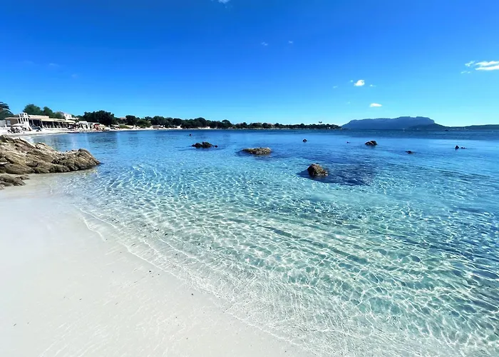 Sea Love Olbia
