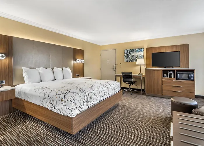 Best Western Airpark Hotel - Lax Airport La Stadium Inglewood