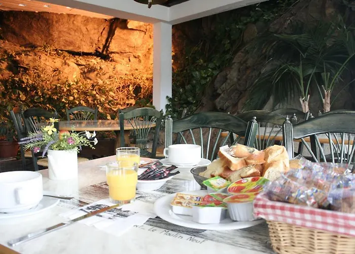 Logis Cosy - Hôtel Le Moulin Neuf - Chantonnay