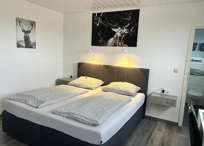 Hotel Brunnenbach Braunlage