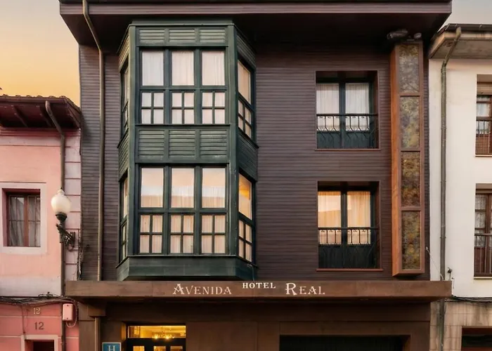 Hotel Avenida Real Villaviciosa 