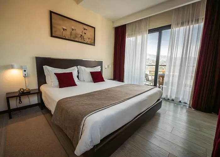 Hotel Sao Pedro - Arouca