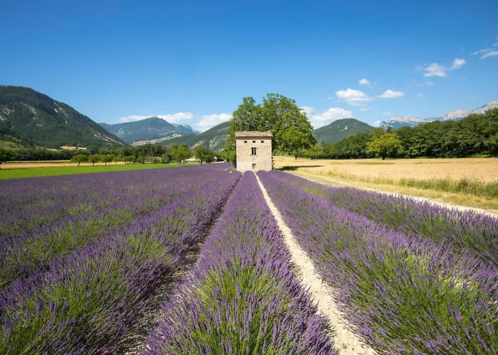 Vvf Sud Vercors Die