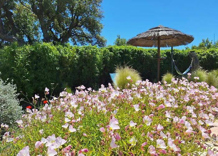 Villa des Delices Grimaud