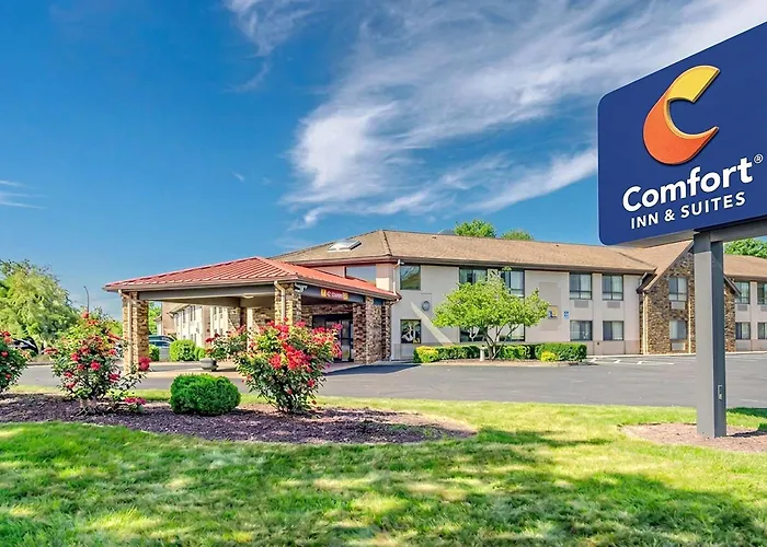Comfort Inn & Suites West Springfield