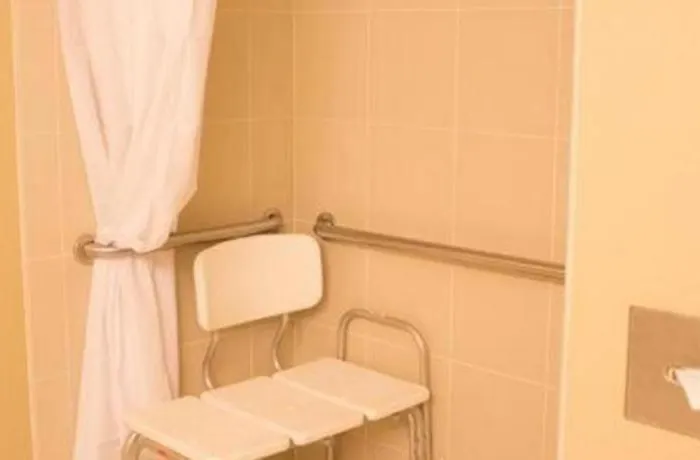 Country Inn & Suites By Radisson, Dundee, Mi