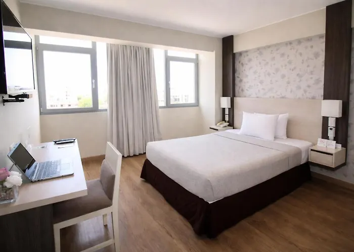 Palmetto Hotel Business San Miguel