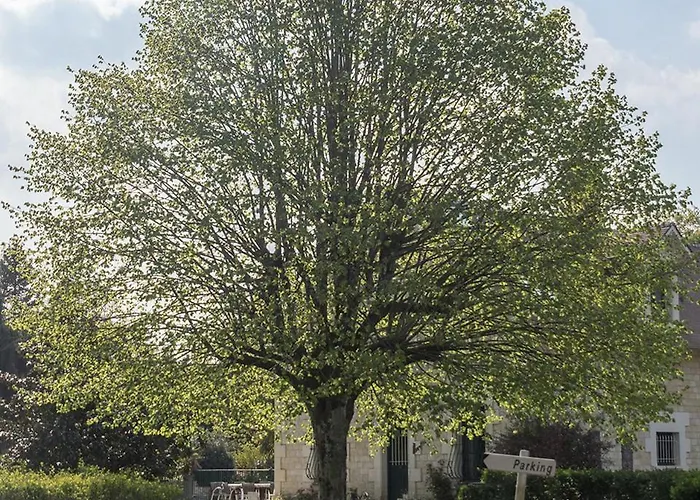 Les Aulnaies - B&B Mareuil-sur-Cher