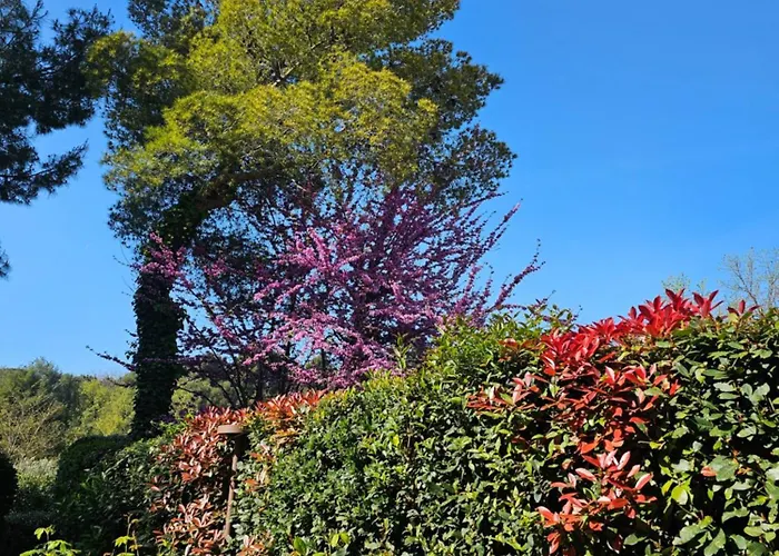 Villa Monacelli Fano